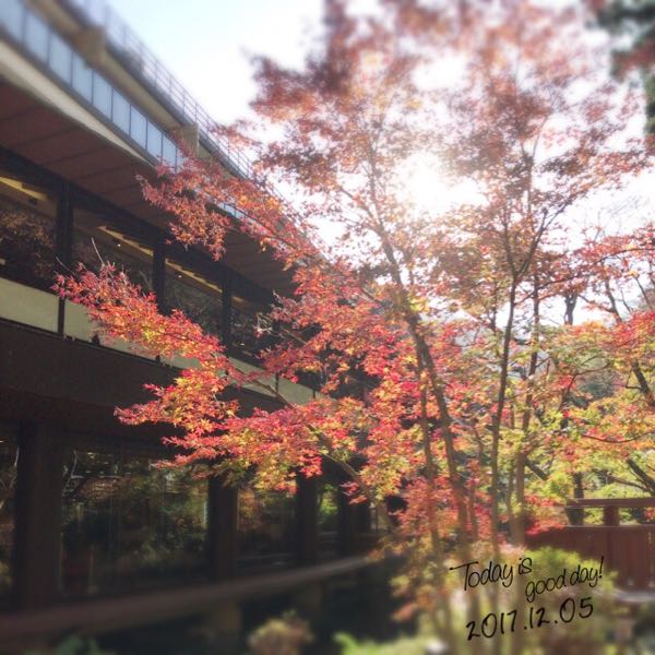 rblog-20171205200132-03.jpg