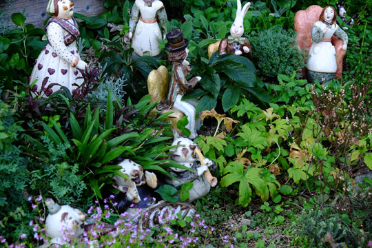 DSCF9753.jpg