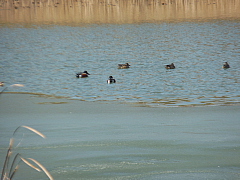 conv0281.JPG