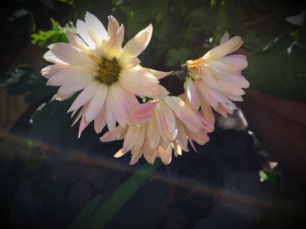 rblog-20151127134606-04.jpg