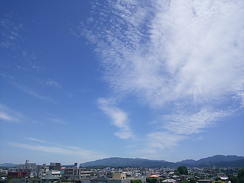 IMG_20160602_123310.jpg