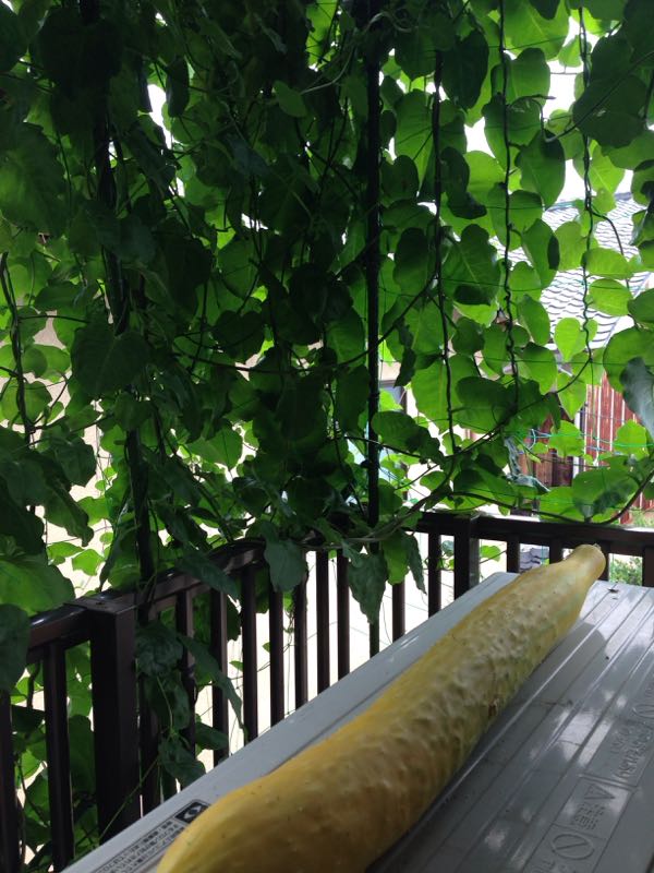 rblog-20160725165542-01.jpg