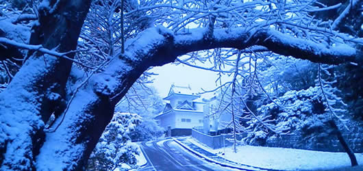 snow1-2