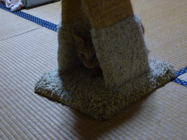 今日はまるが・・・