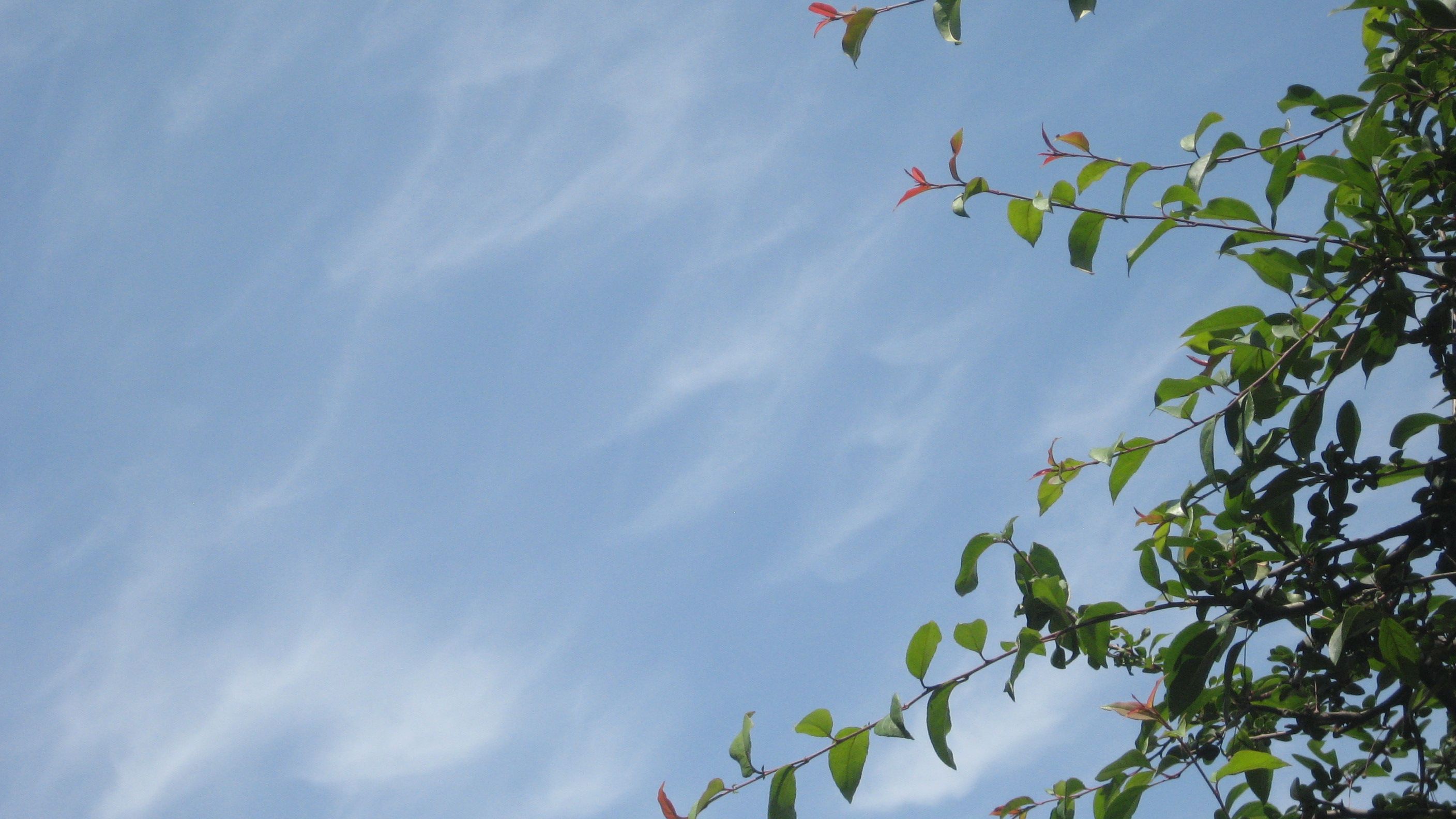 今日の空 快晴 晴 気まぐれなページ 楽天ブログ