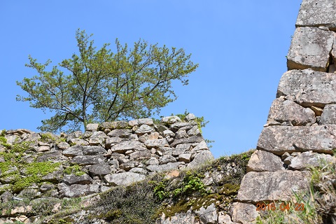 DSC_0280.JPG