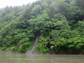 最上川39.jpg