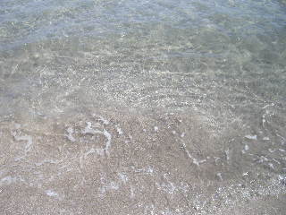 SSCN3369.JPG