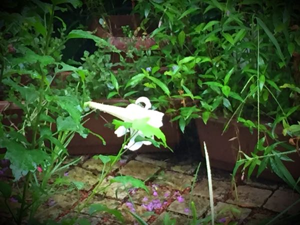 rblog-20150826083145-01.jpg