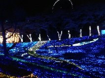 相模湖