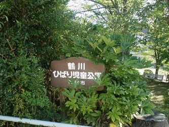 緑多き木陰の公園を歩く 朝の散歩道 楽天ブログ