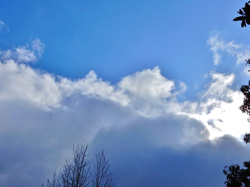 空2