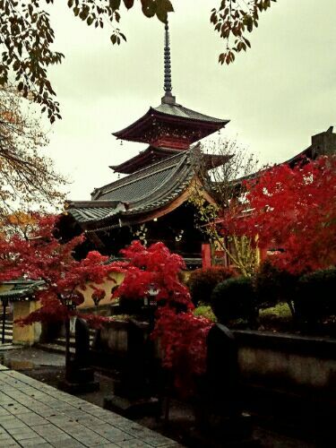 rblog-20161101185229-03.jpg