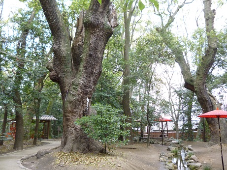 生田の森1.JPG