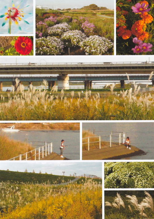 2012馬入公園・うたゆの宿C