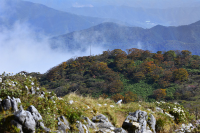 伊吹山11