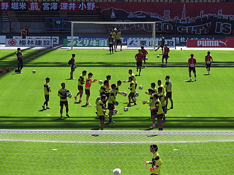IMG_6407.jpg