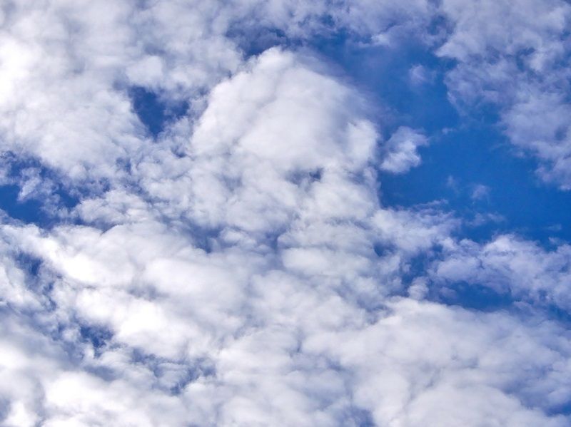空8