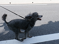 conv0727.JPG