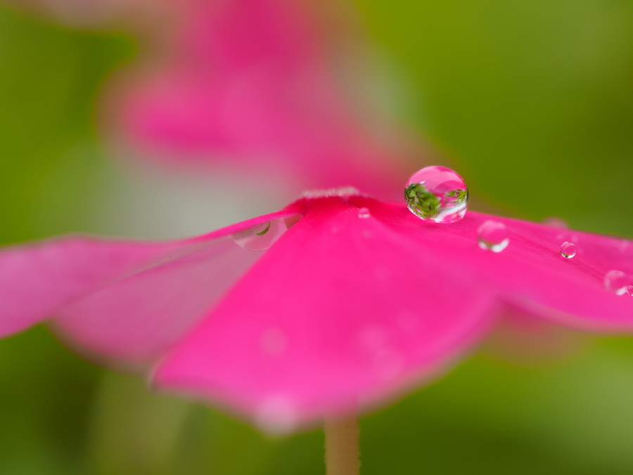 20140830_101855.jpg