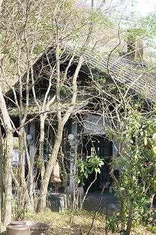 DSC00920 - コピー.JPG