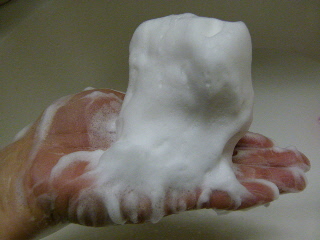 P1080071(1).JPG
