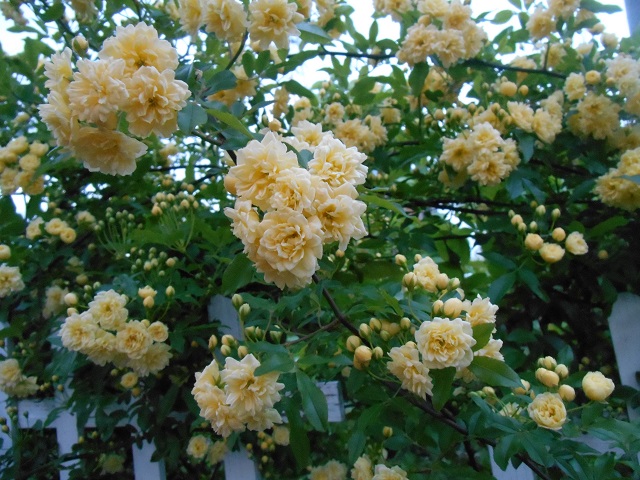DSCN1637.JPG