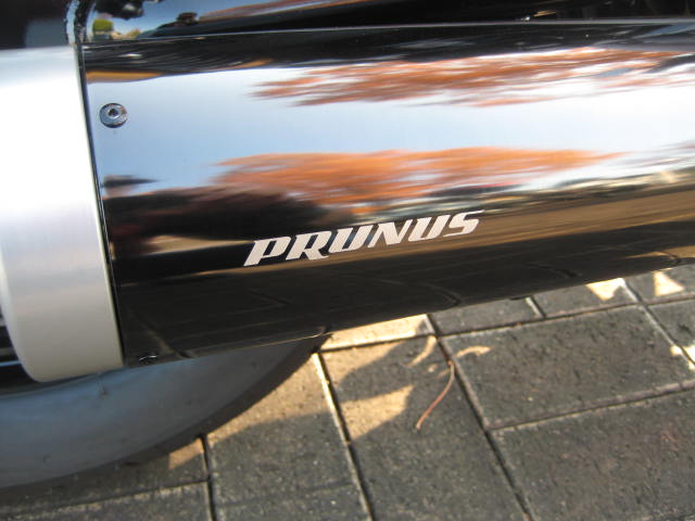 IMG_2696.JPG