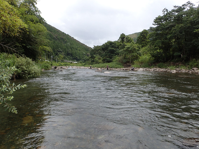 resize0019.jpg