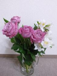 P1020173.JPG