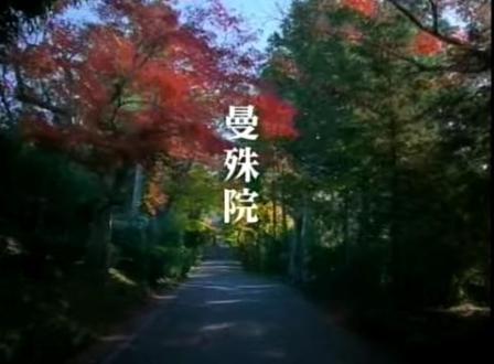 曼殊院2006年秋.jpg