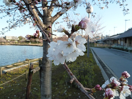 2013.3.26 014.JPG