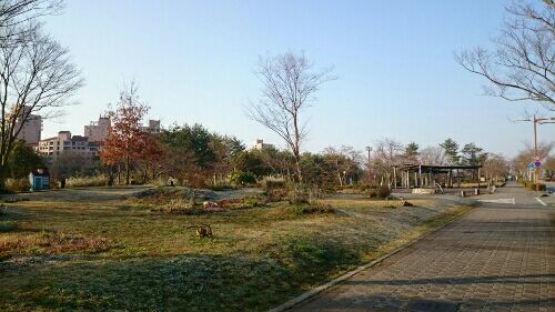 rblog-20160329205800-01.jpg
