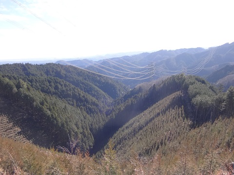DSC07522.JPG