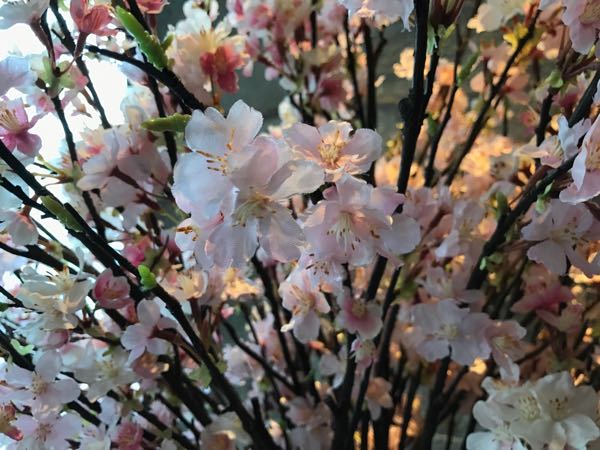 rblog-20170405194749-02.jpg