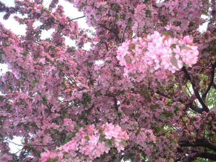 2006_0507_190058AA.jpg