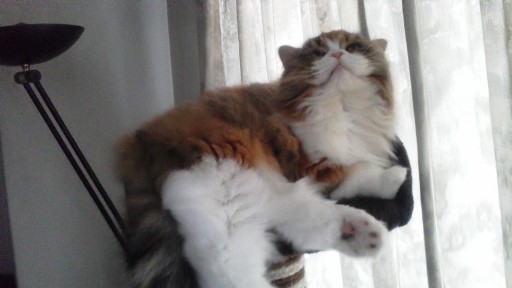 20140324141421.jpg