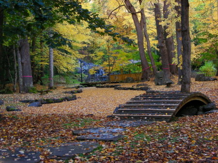 2015-10-12kouyou3 (1).JPG