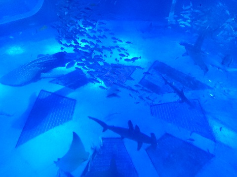 2013-07-28 09.50.31.jpg