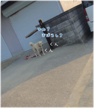 素通り2.jpg