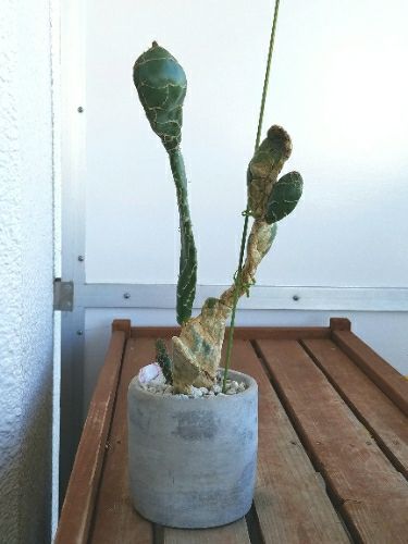 rblog-20180828115230-07.jpg