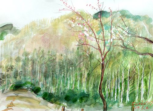 13ページ目の記事一覧 Turbo717 S Activity 楽天ブログ