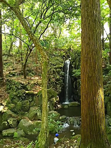 DSC_0184.JPG