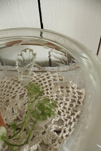 IMG_2646.jpg
