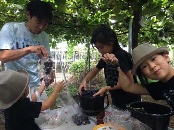 rblog-20150817004651-00.jpg