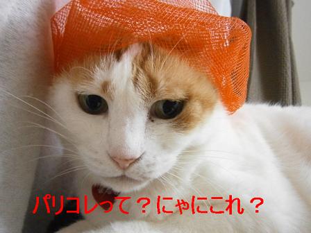 maru