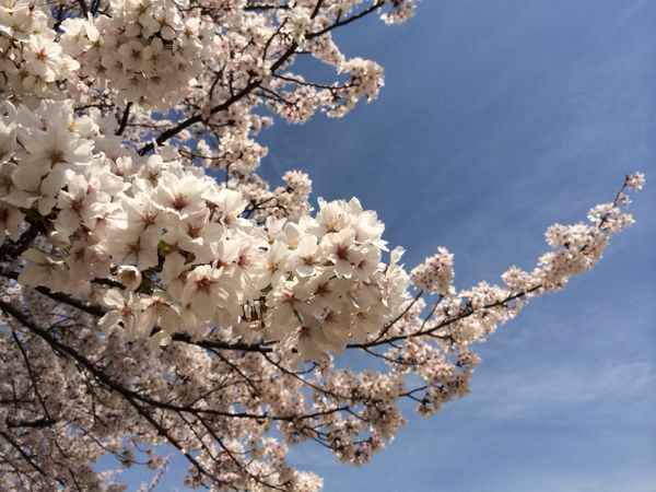 rblog-20140409102043-01.jpg