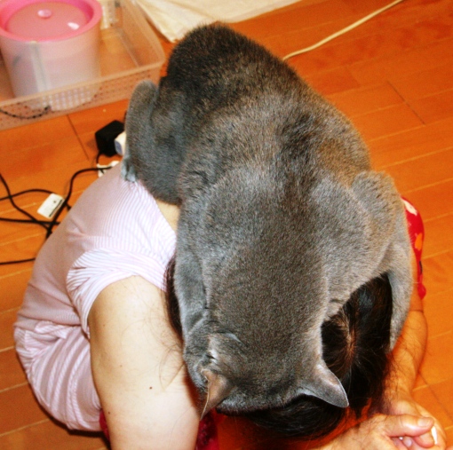 20150922ﾌｰ02.jpg