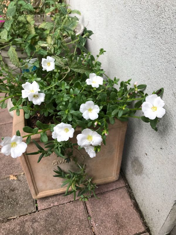 rblog-20180628165323-03.jpg