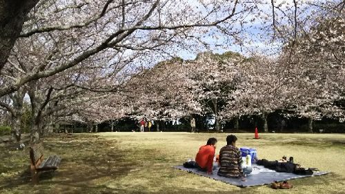 rblog-20180325054510-01.jpg